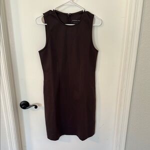 Everlane Dark Brown Sleeveless Shift Mini Dress